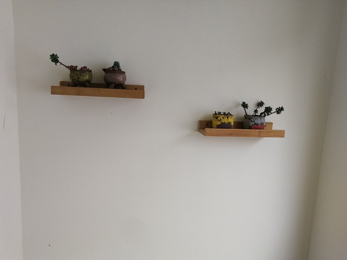 Two wooden shelves with potted plants against a plain wall.