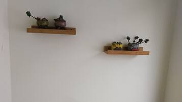 Two wooden shelves with potted plants against a plain wall.