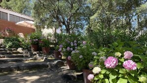 A garden with potted plants and a stone pathway. - Casa Mar at Platja d'Aro with an amazing garden and sea views (Platja d'Aro)
