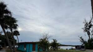 Un espacio cubierto de césped con un pequeño edificio, un sendero pavimentado y árboles.