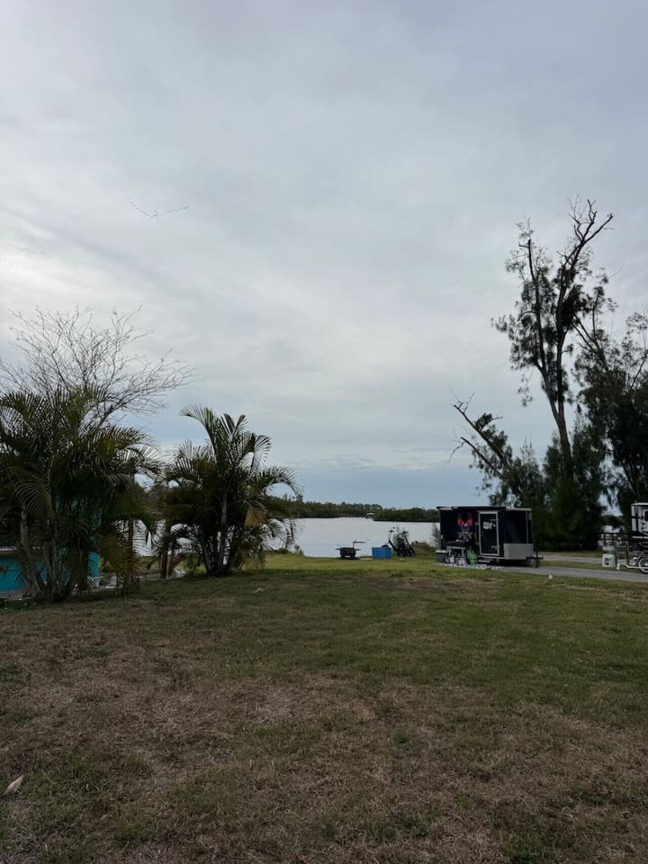 A grassy area with a small structure, a body of water, and trees.