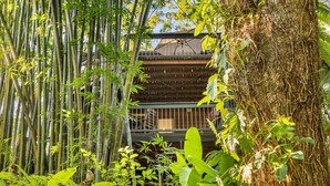 A bamboo forest with a traditional building structure in the background.