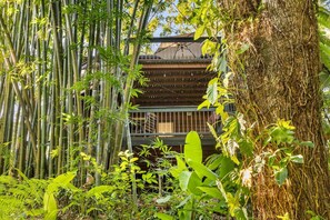 Property grounds - The Bamboo Base at Buderim (Buderim)