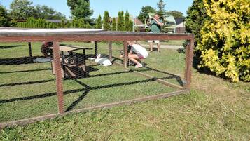A fenced area with a table and chairs, a grassy field, and a hedge.
