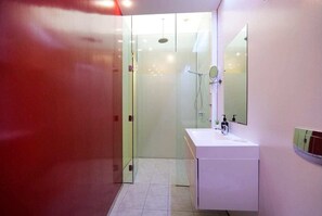 Ducha, secador de pelo, toallas y champú