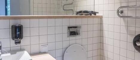 A modern bathroom with a toilet, a sink, and a mirror.
