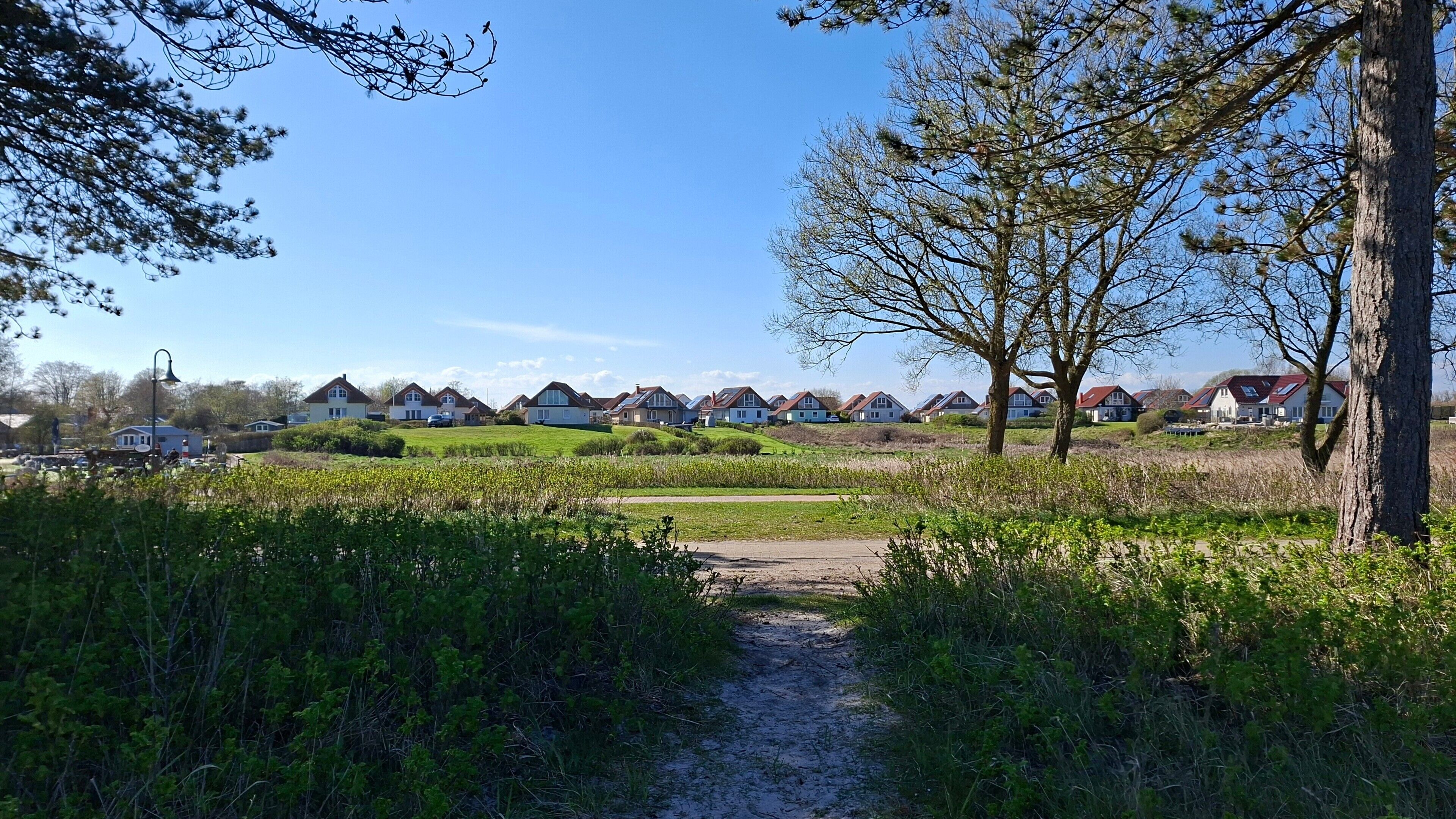 A rural residential area with houses, a dirt path, and greenery.