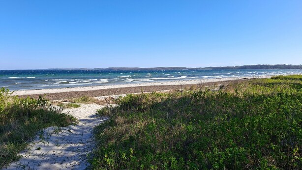 Una playa con un sendero arenoso que lleva al agua, rodeada de vegetación.