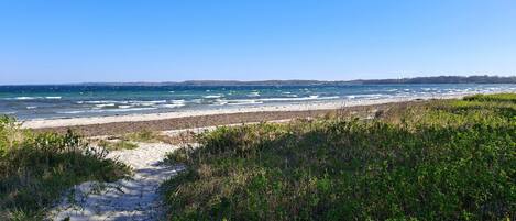 Plage à proximité