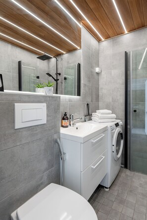 Ducha, cabezal de ducha tipo lluvia, secador de pelo, bidet