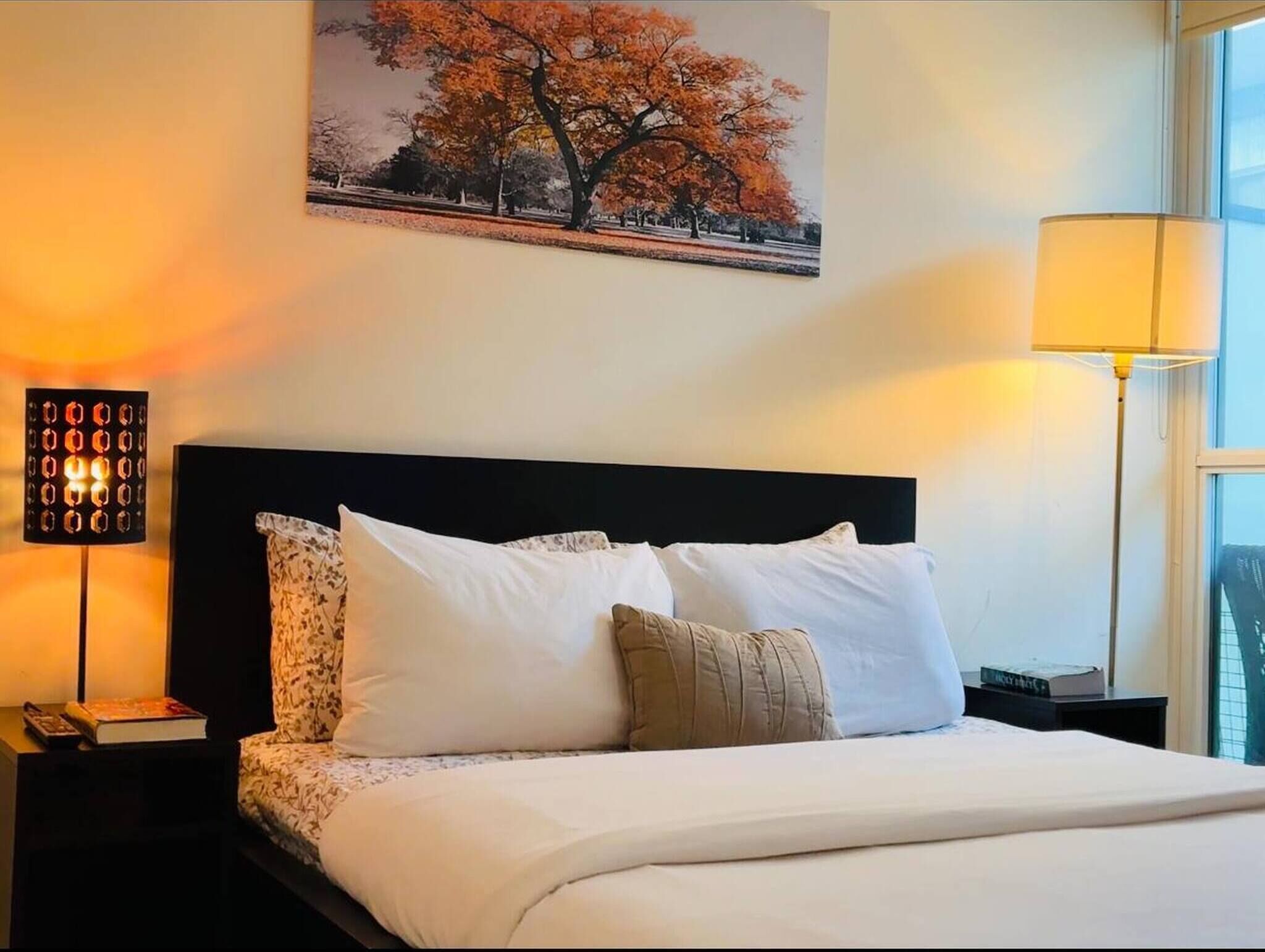 1 bedroom, internet