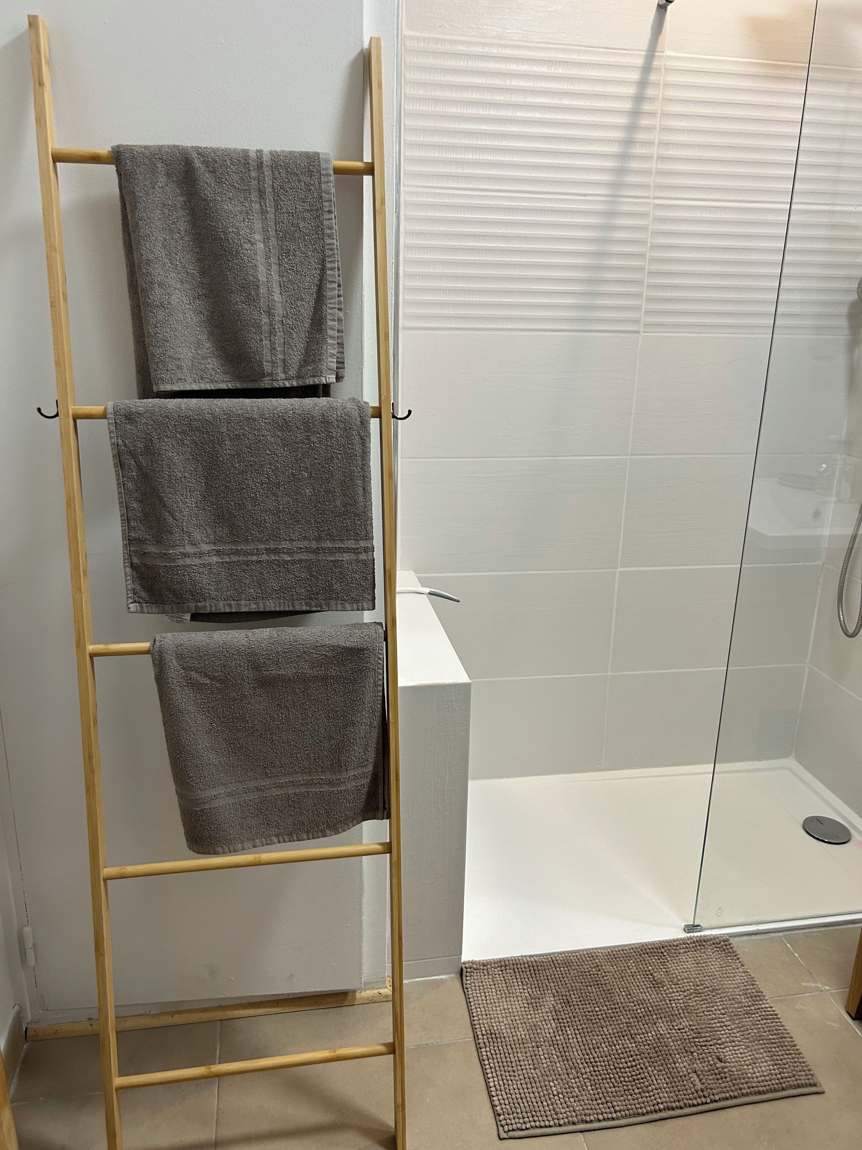 Shower, towels, soap, toilet paper