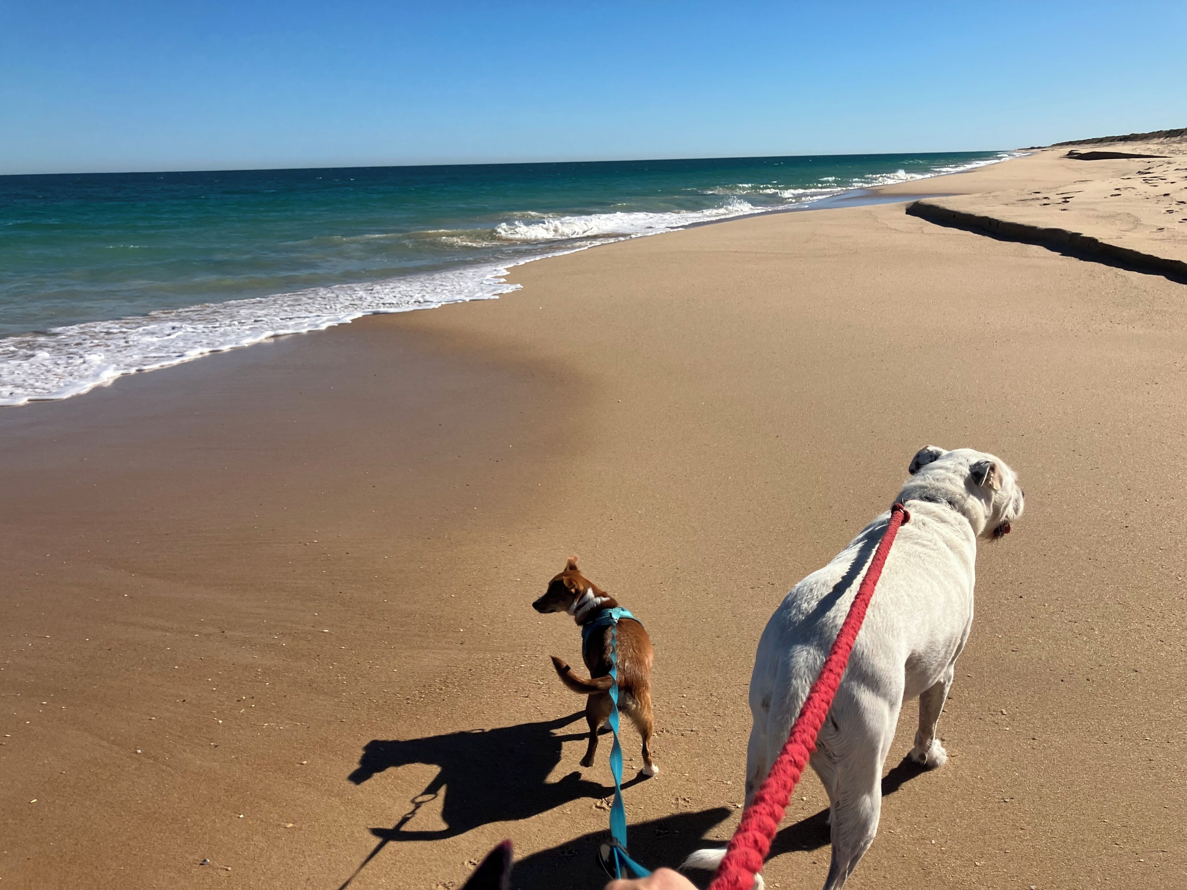 Strand