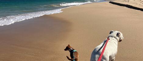 Strand