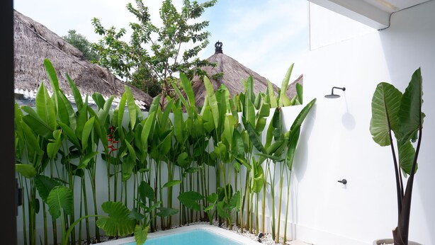 Una piscina rodeada de plantas tropicales, una estructura con techo de paja y una pared blanca moderna.