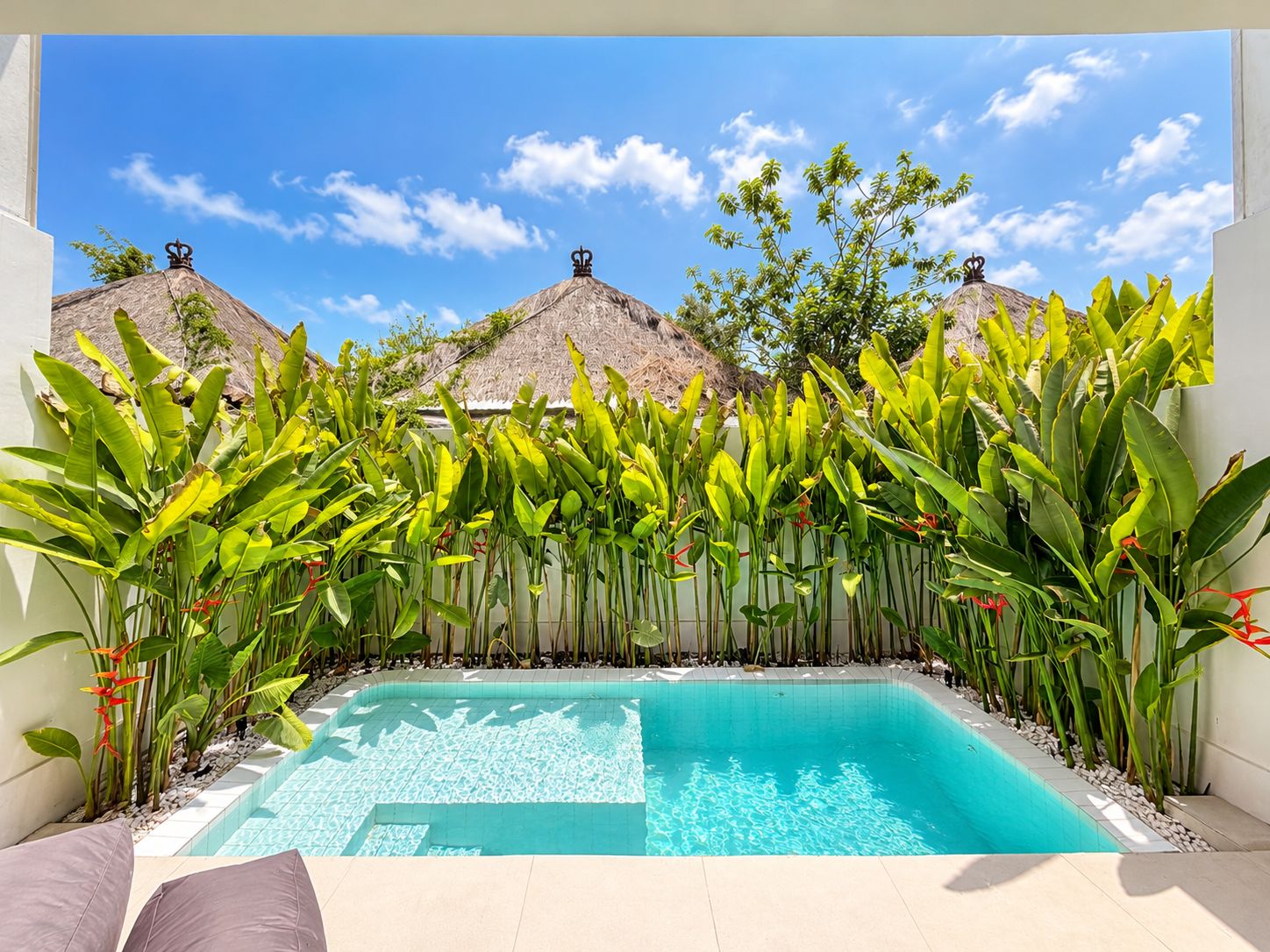 A swimming pool with a tiled edge, surrounded by lush tropical plants and two thatched-roof structures.