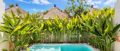 A swimming pool with a tiled edge, surrounded by lush tropical plants and two thatched-roof structures.