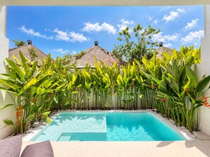 Ein Swimmingpool mit einer Fliesenleiste, umgeben von üppiger tropischer Vegetation und zwei mit Stroh gedeckten Gebäuden.