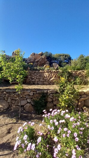 A garden with a stone wall, flowering plants, and a clear blue sky. - A beautiful elevated architect designed villa with breathtaking sea views. (Costa Paradiso)
