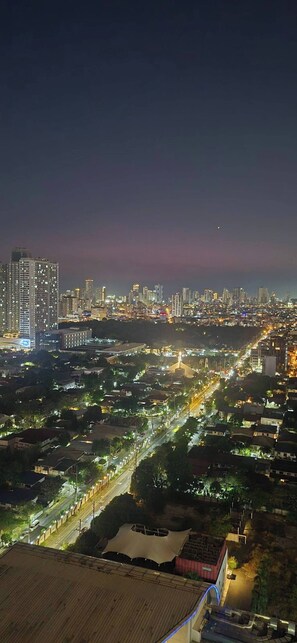 Utsikt från luften