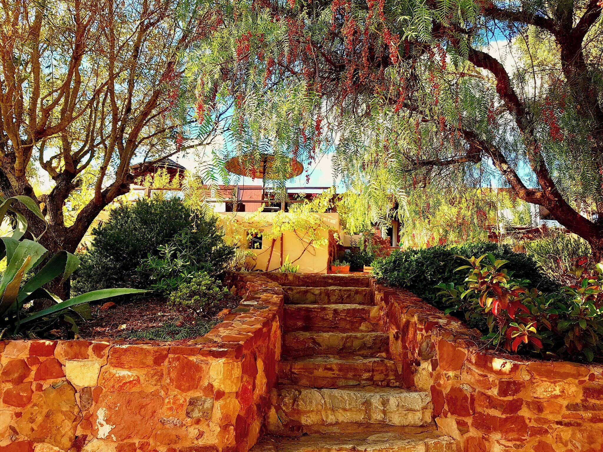 Un escalier en pierre menant à un bâtiment, entouré d’une végétation luxuriante et d’arbres.