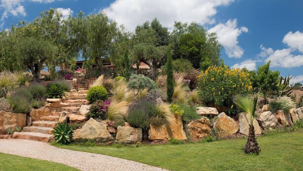 Ein angelegter Garten mit einer Steintreppe, verschiedenen Sträuchern und Bäumen.