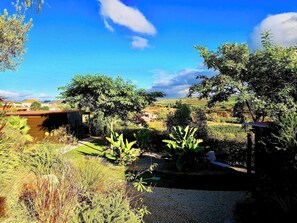 Property grounds - Charming Garden Studio with Private Outdoor Space – Gato Preto, Silves (Silves)
