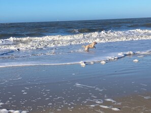 Beach - Vrbo Property (Sylt)