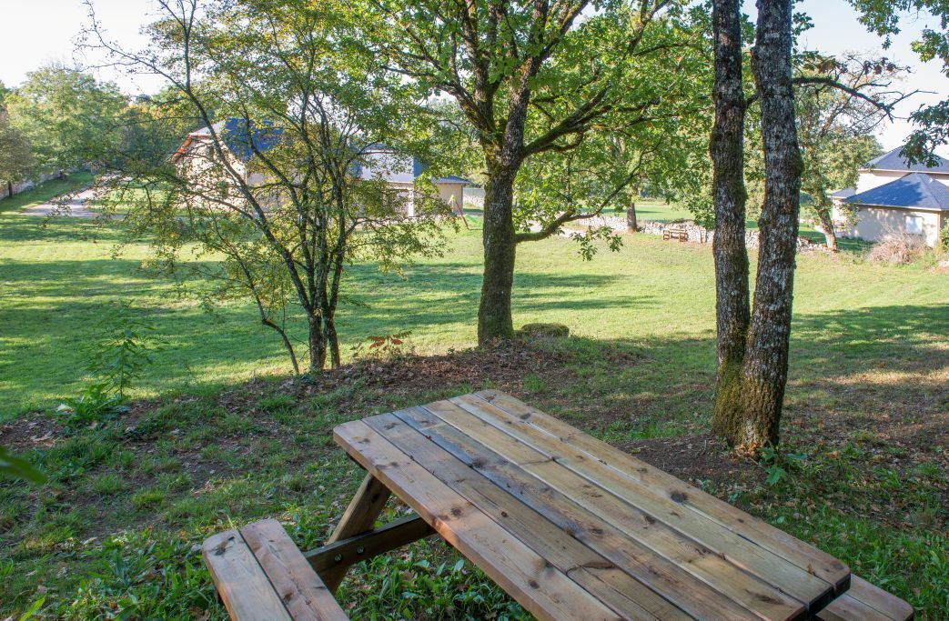Une table de pique-nique se trouve dans un espace verdoyant, avec des arbres et des maisons en arrière-plan.