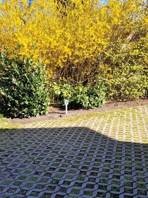 Property grounds - Alte Reihe 10 Whg. 7 - Cozy apartment for 4 persons, approx. 300 m to the beach (Zingst)