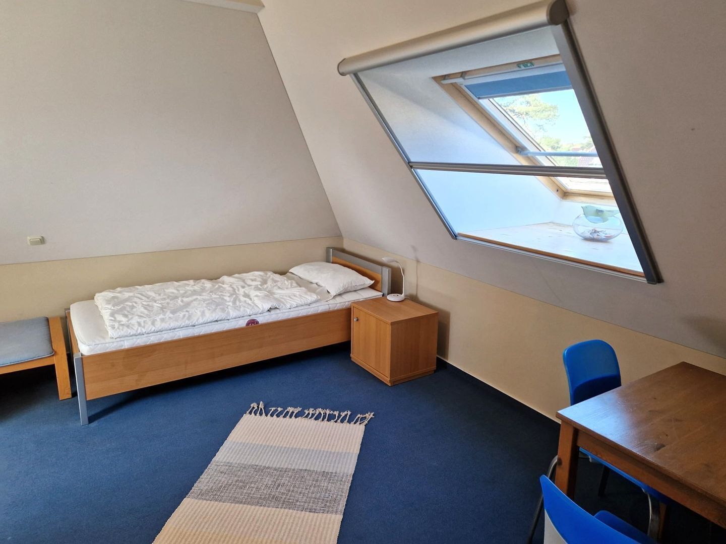 A small, single-bed room with a skylight, a desk, and a chair.