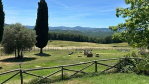 A fenced vineyard with rolling hills and distant mountains. - Casa Stella Serena by Geco Vacation Rentals (Chiusdino)