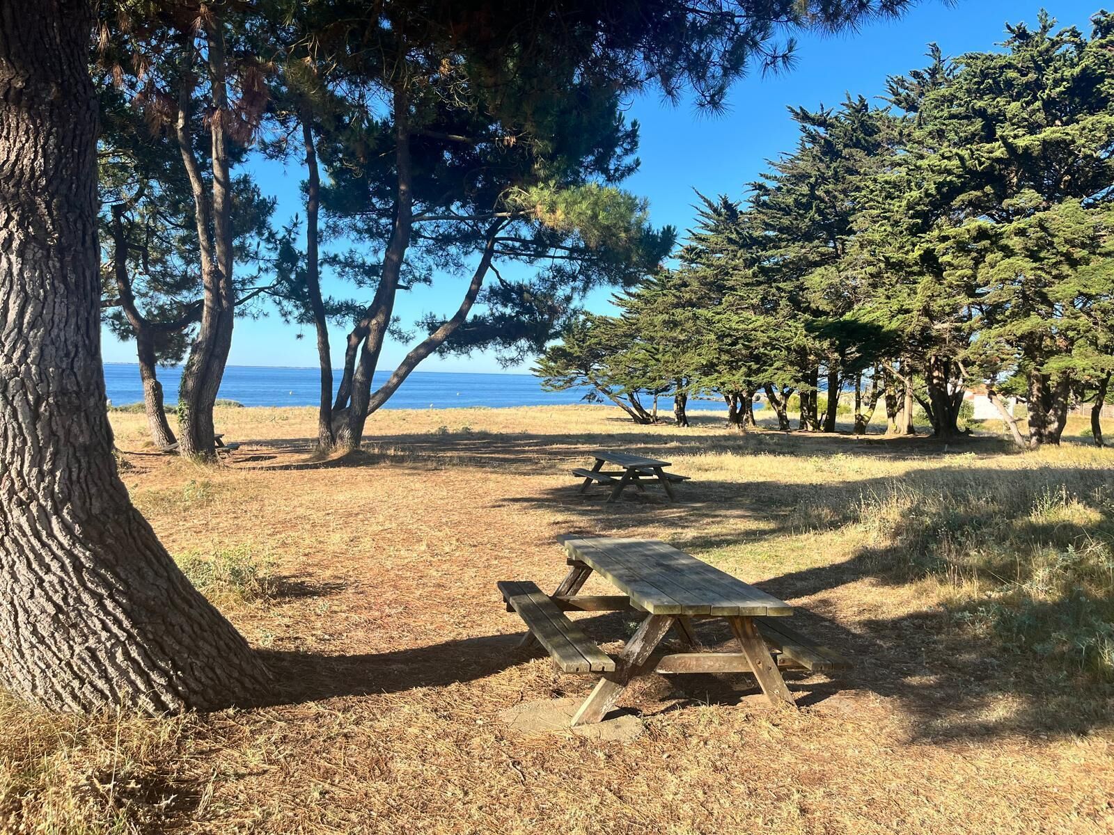 Een picknickplaats met banken en uitzicht op de oceaan.