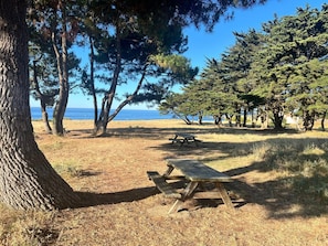 Un espacio de picnic con bancos y vistas al océano.