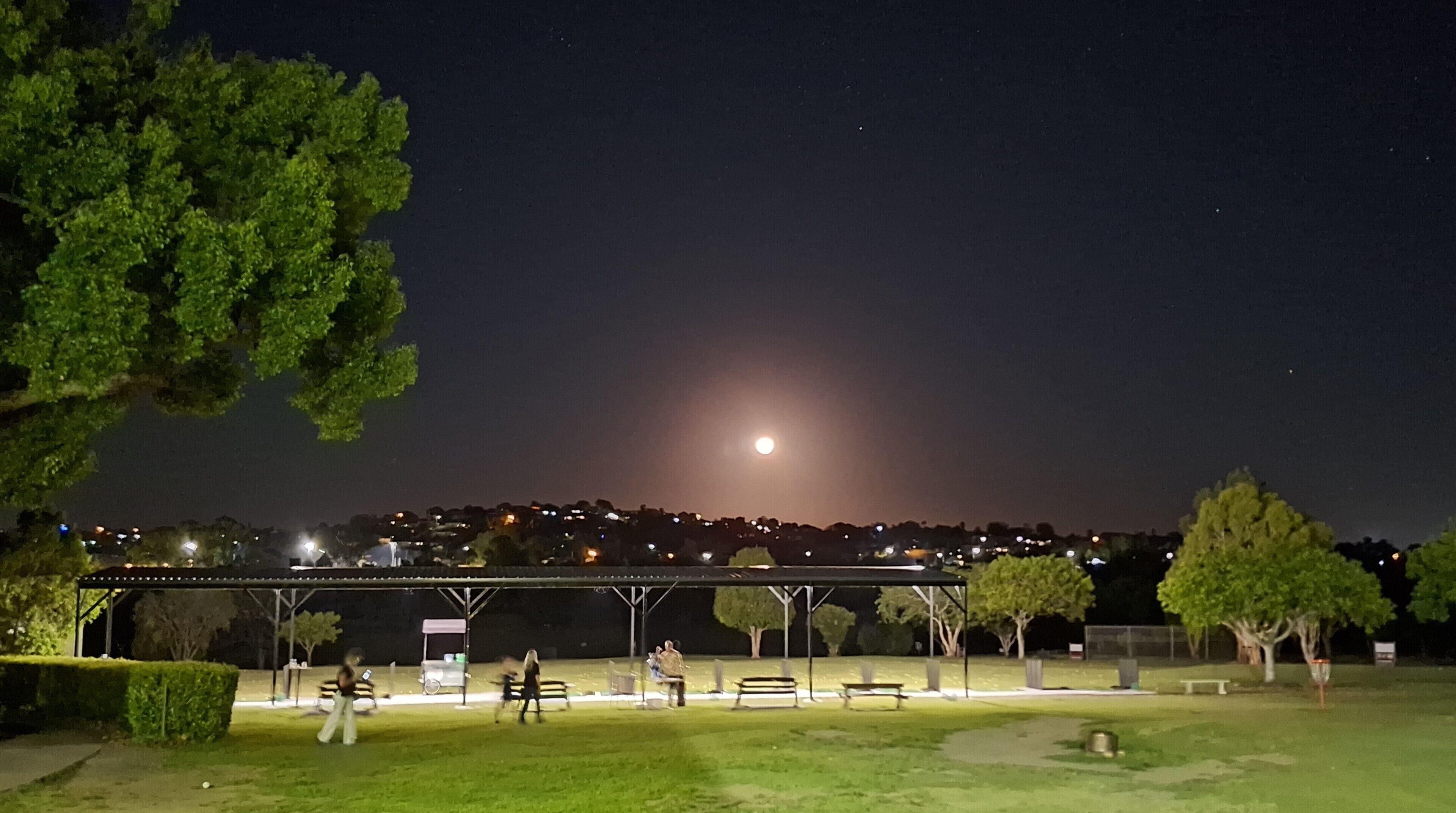 A park at night with a full moon, trees, and a bridge.