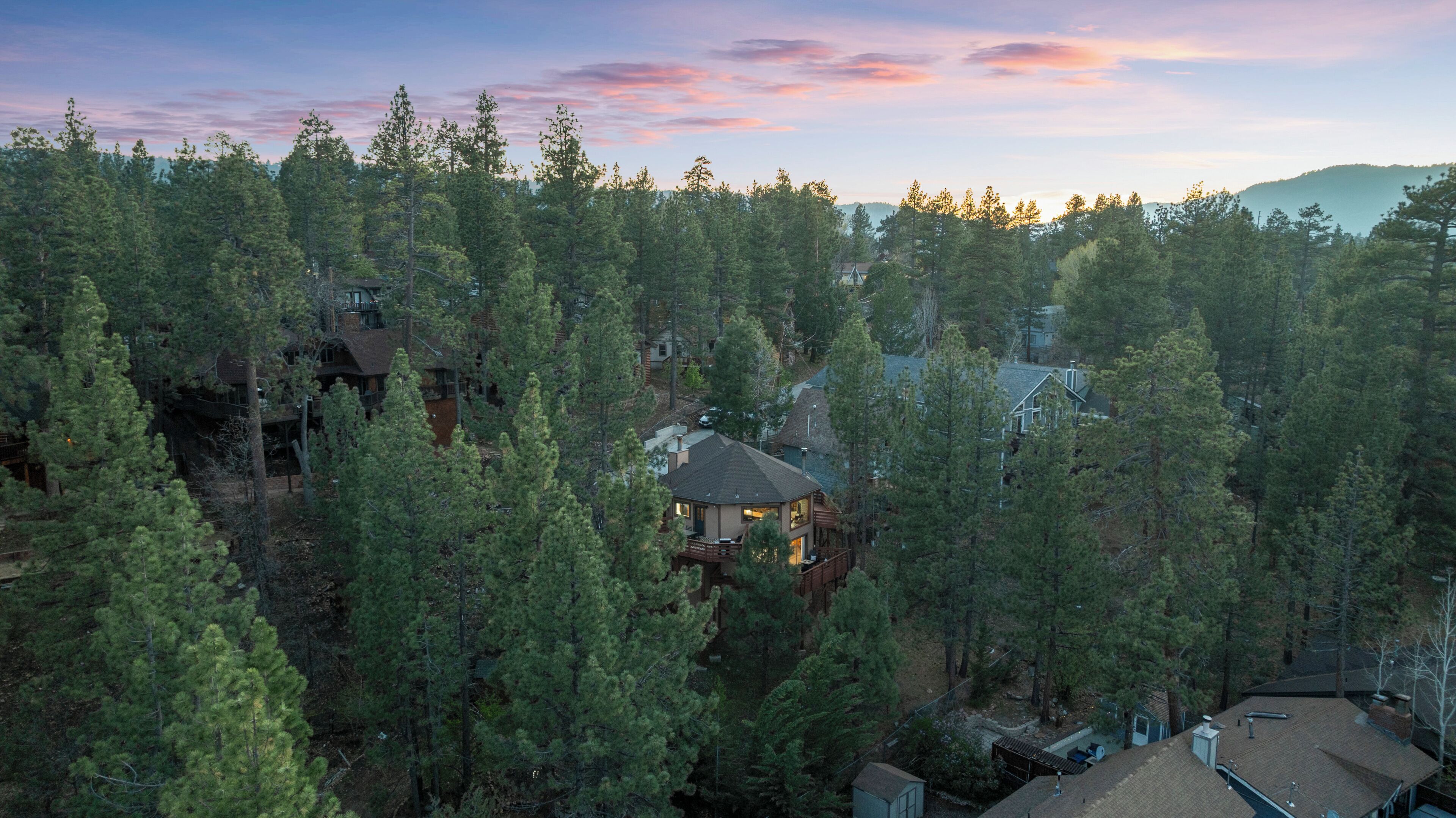 A forested area with a cabin-style house surrounded by tall pine trees.