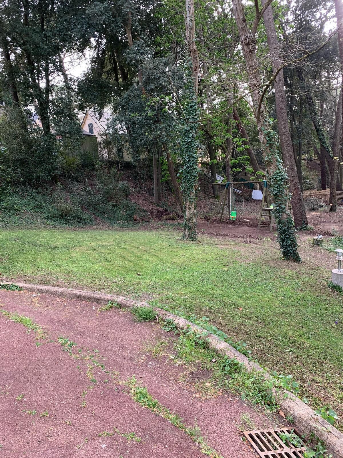 A park with a grassy area, trees, and a wooden bench.