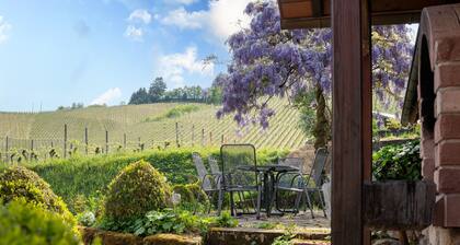 Ferienhaus Hofgut Wörner - Fewo Obergeschoss / Kneippen / Weinreben / Großer Garten / Weingut