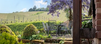 Hofgut Wörner Holiday Home â Upper Floor Apartment / Kneipp / Vineyards / Large Garden / Winery