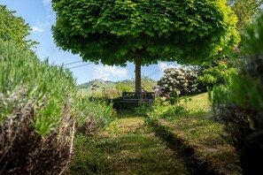 Property grounds - Hofgut Wörner Holiday Home – Upper Floor Apartment / Kneipp / Vineyards / Large Garden / Winery (Durbach)