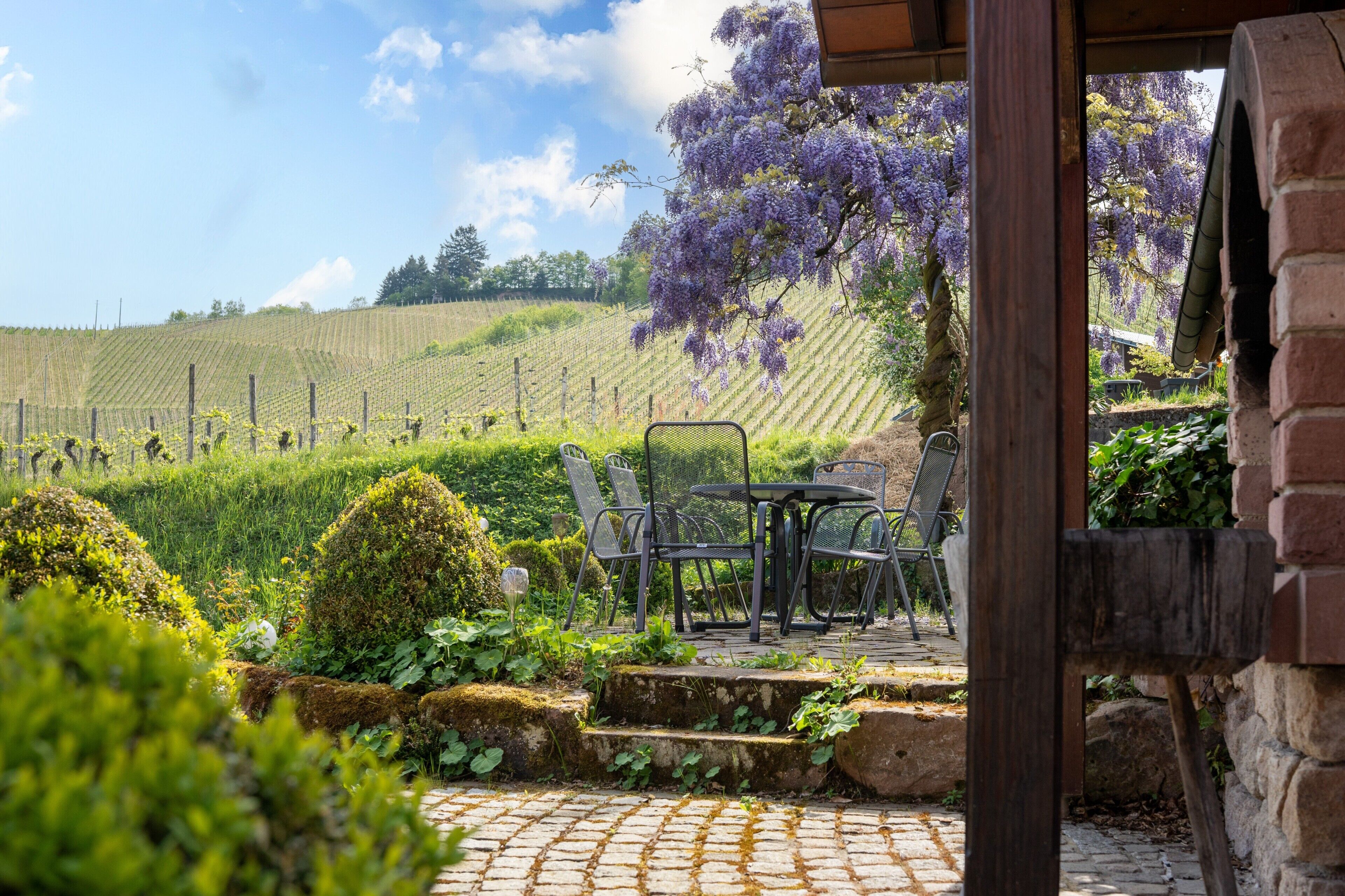 Opções para refeição ao ar livre