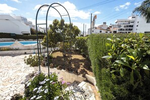 A garden with a metal trellis, a swimming pool, and a hedge. - Casa das Pedras by Umbral  (Albufeira)
