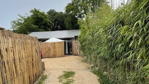 Un chemin de gravier mène à un bâtiment surmonté d’un toit en métal, lequel est entouré de bambous et d’herbes hautes.