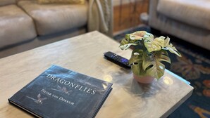 Un llibre anomenat 'Dragonflies' sobre una taula de cafeteria, un comandament a distància i una planta en test, en un saló amb un sofà i una taula rodona petita.