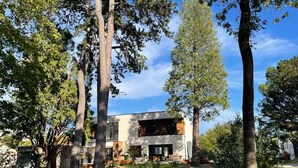 A modern house with a large open patio, surrounded by tall trees. - Bread et Couette (Lyon)