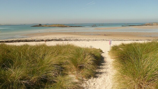 Ein Strand mit einem sandigen Pfad, der zum Wasser führt, umgeben von Gras.