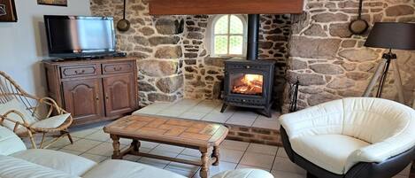 Smart-TV, Kamin