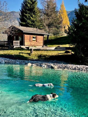 Haustierfreundliche Berghütte mit Teich und Garten in Pieve di Cadore in den Dolomiten