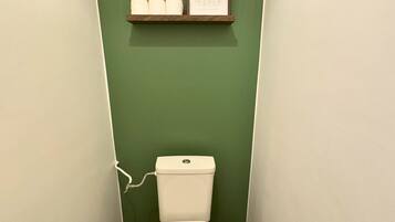 A small bathroom with a toilet, a shelf with toilet paper and a framed picture, and a wall with a greenish hue.
