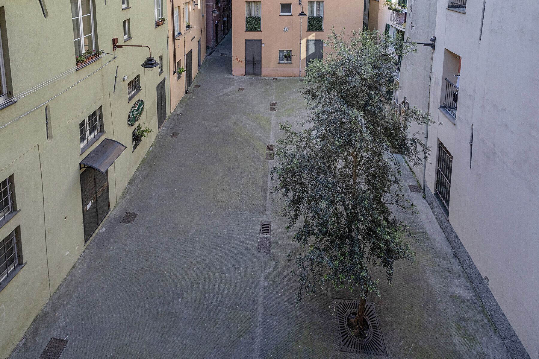 A narrow urban street with buildings on either side, a tree in the center, and a manhole cover on the right.